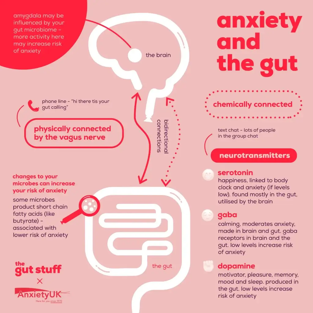 Anxiety And The Gut